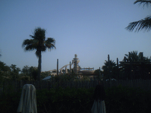 d0038319_1511157.gif