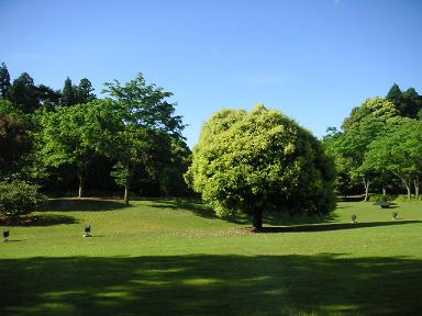 b0007421_22525190.jpg