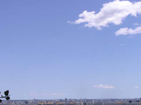 f0128723_035723.jpg