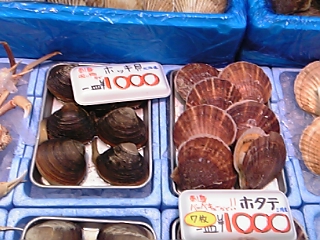 f0083726_14253833.jpg