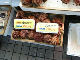 f0083726_1426268.jpg