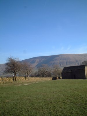 d0112128_351661.jpg