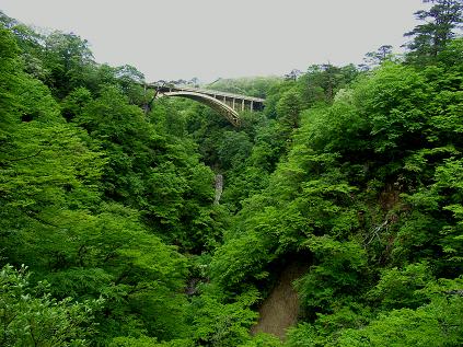 f0118332_130566.jpg