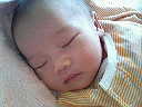e0105834_1224506.jpg