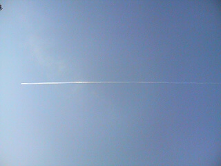 f0131934_20222650.jpg