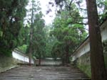 e0005941_23403026.jpg