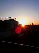 d0023742_1455562.jpg