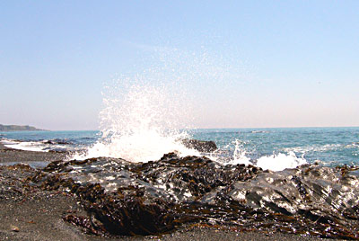 b0031344_21211088.jpg