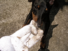 c0123149_20301856.jpg