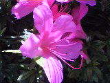 f0082052_11361512.jpg