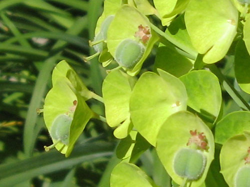 f0007956_8435534.jpg