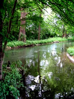 a0073357_19204282.jpg