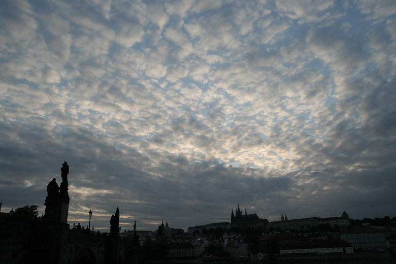 d0002958_418173.jpg