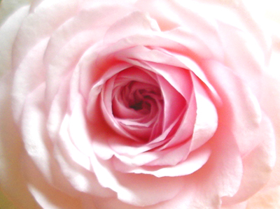 a0094959_23504540.jpg