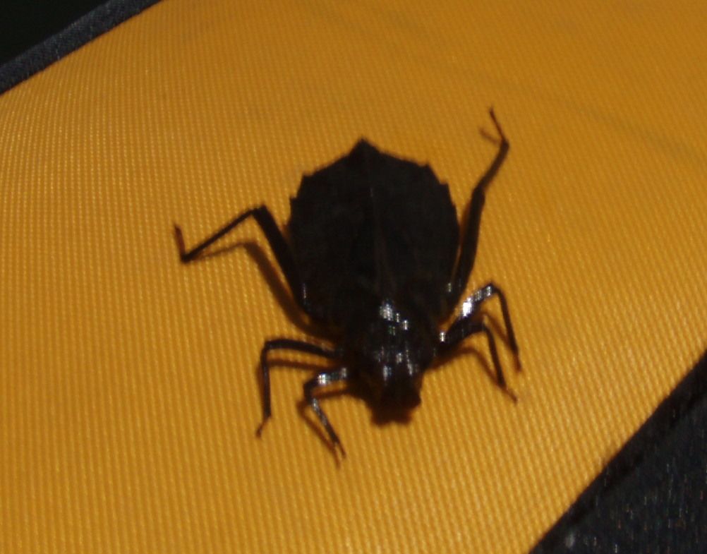 f0073059_16283682.jpg