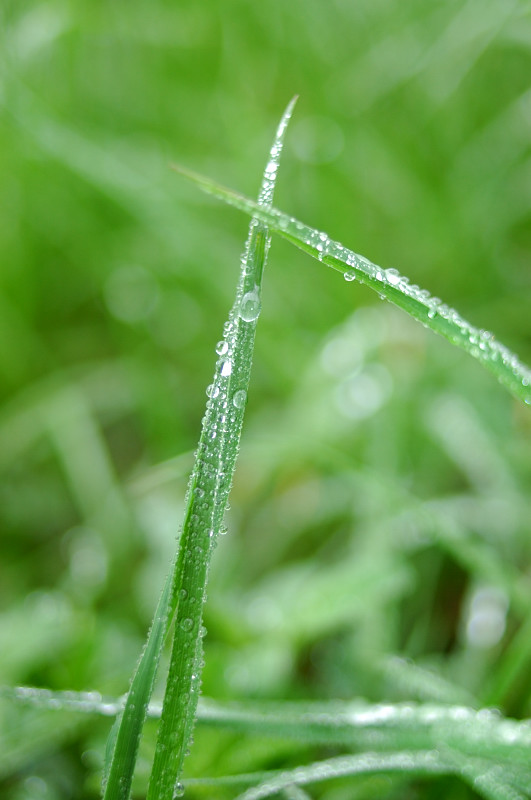 c0084666_208291.jpg
