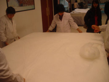 d0064366_18523351.jpg