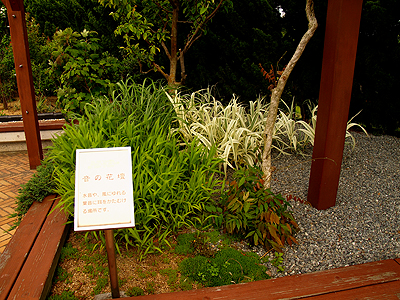 f0052269_1954532.jpg