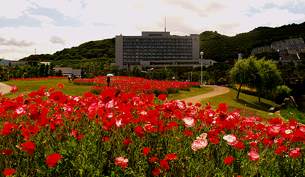 f0052269_19572441.jpg