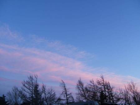 d0079579_1194577.jpg