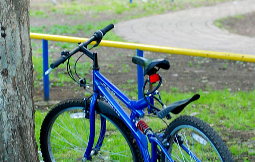 c0009981_9444873.jpg