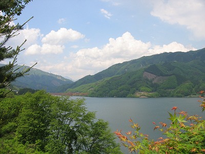 a0038882_846187.jpg