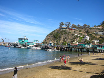 f0068883_10411561.jpg