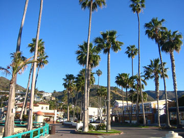 f0068883_1051798.jpg