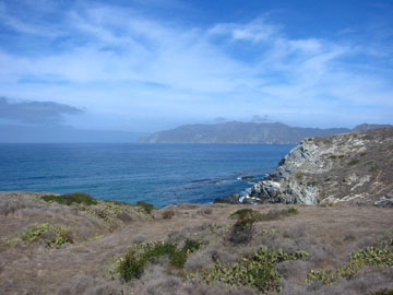 f0068883_10594637.jpg
