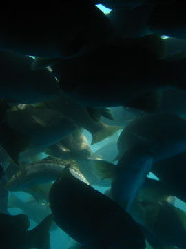 f0068883_1119233.jpg