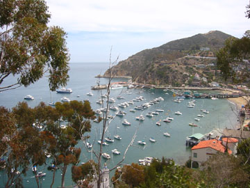 f0068883_1172413.jpg