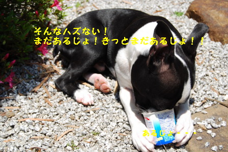 c0092787_12365189.jpg