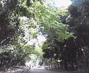 e0017290_1325630.jpg