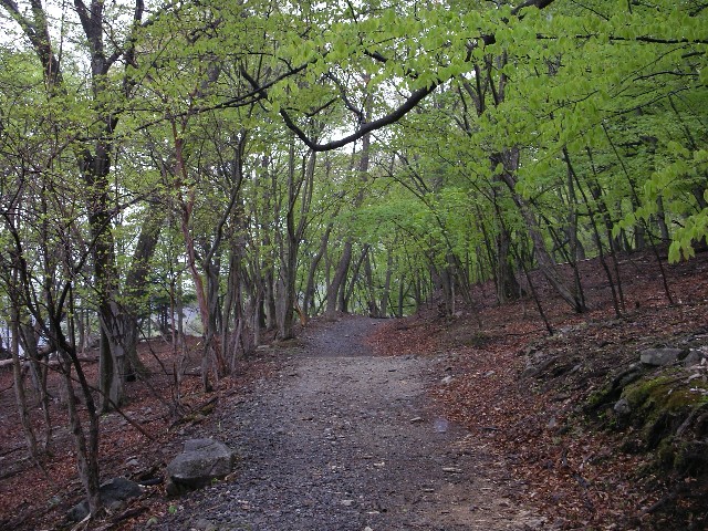 f0092492_1244816.jpg