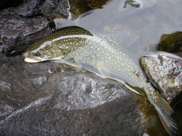 f0092492_12542750.jpg
