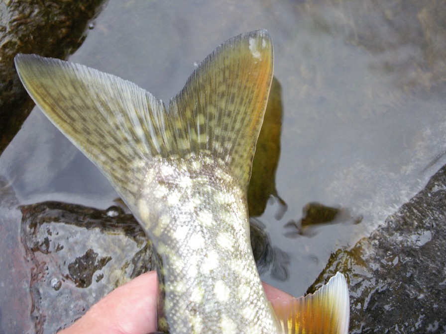 f0092492_1255183.jpg