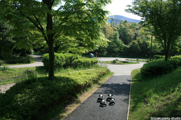e0015195_065790.jpg