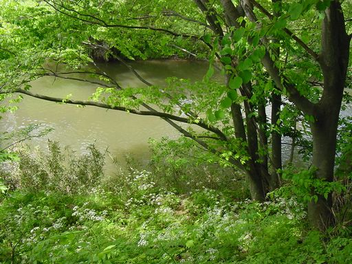 f0088197_22584895.jpg