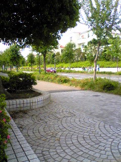 e0087901_20553035.jpg