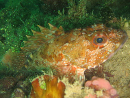 a0087302_2225127.jpg