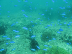 a0087302_2255677.jpg