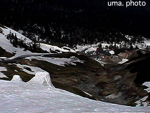 b0061004_225314.jpg