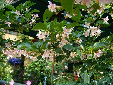 f0065604_2182119.jpg