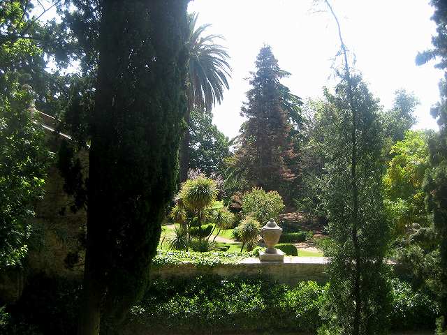 b0064411_17323185.jpg