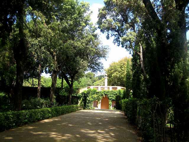 b0064411_17541357.jpg