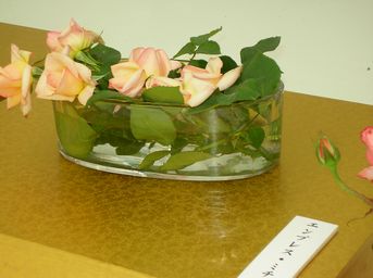 e0016412_2237913.jpg