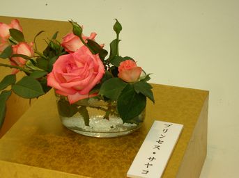 e0016412_22384224.jpg