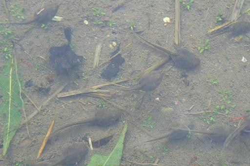 c0086014_2159539.jpg