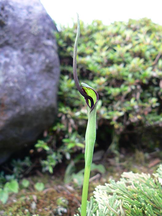 c0086014_2262887.jpg