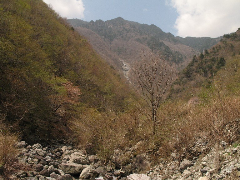 c0119618_748585.jpg